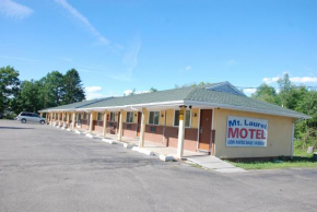 Гостиница Mount Laurel Motel  Хазлтон